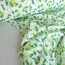 MIMO brodé 5c.webp