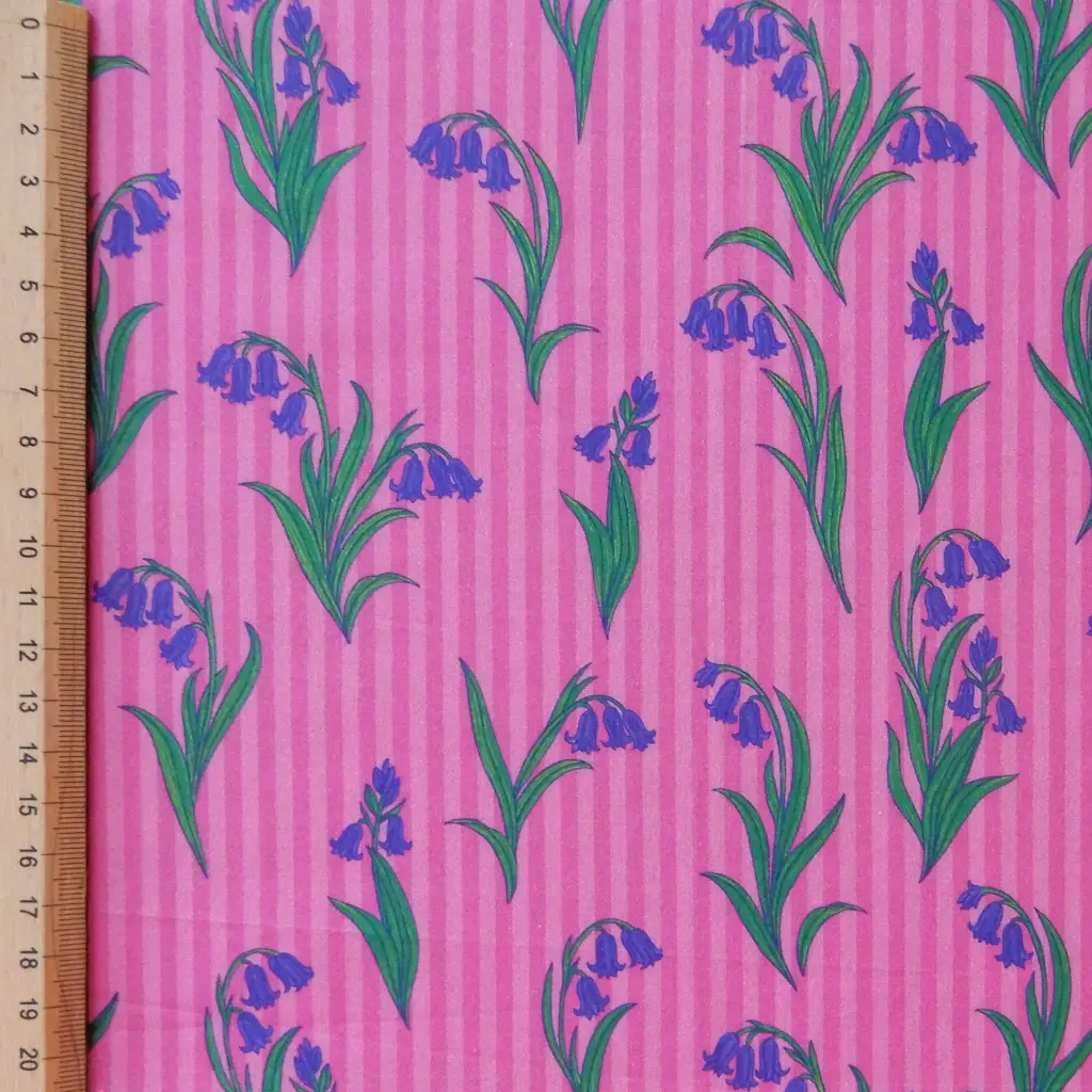jacynthe lignée règle.webp