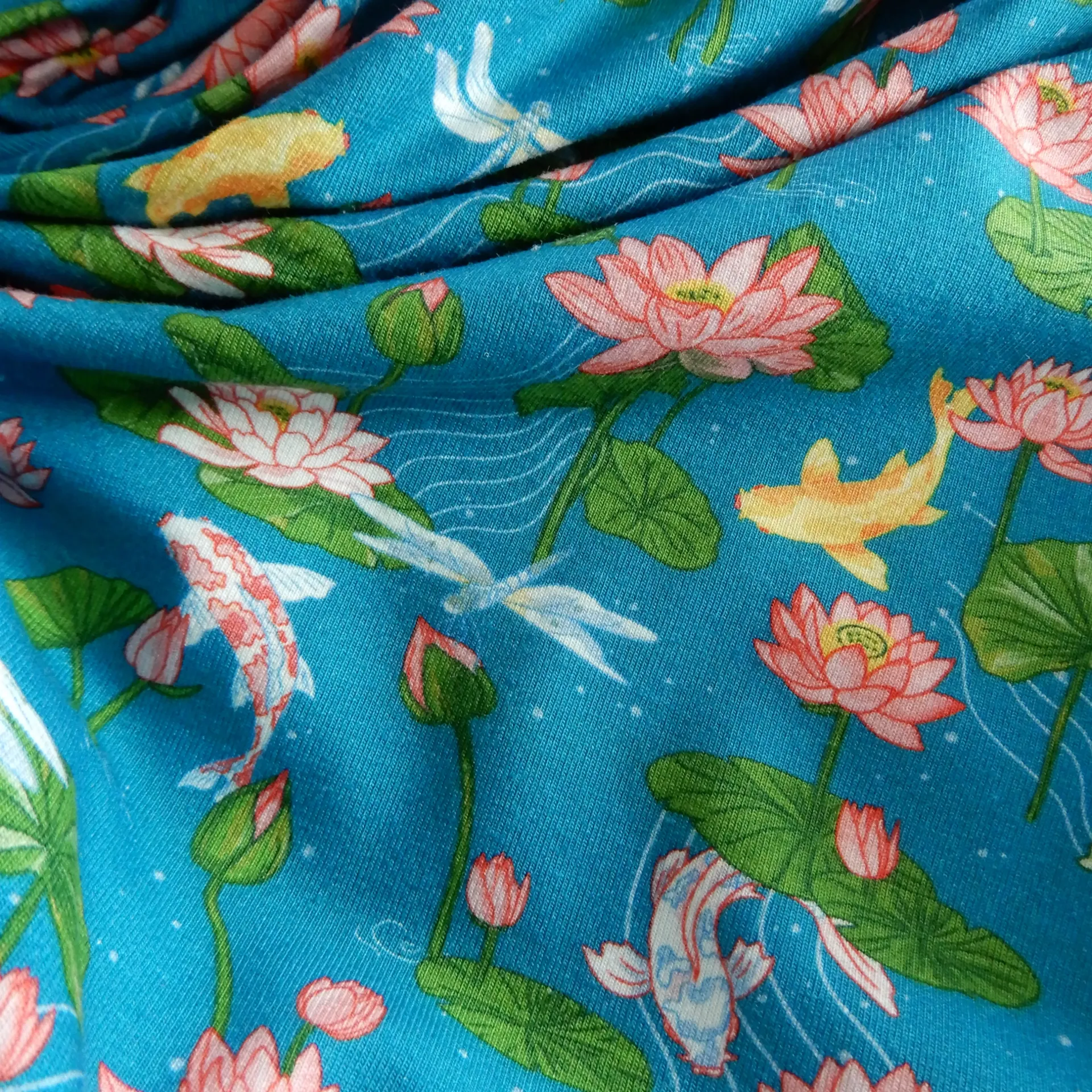 Jersey Lotus, koï et libellules