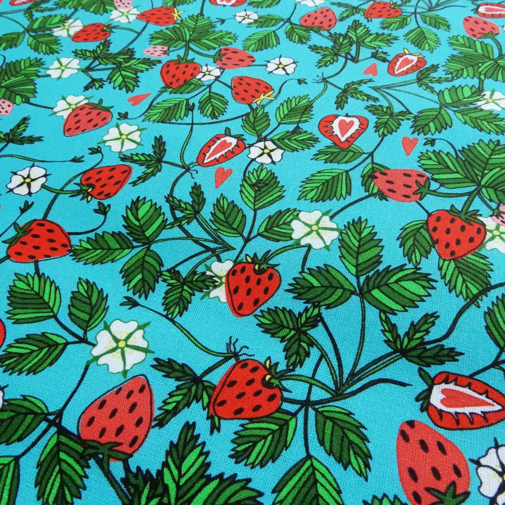 Fraises sur fond bleu