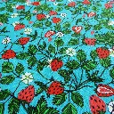 Fraises sur fond bleu
