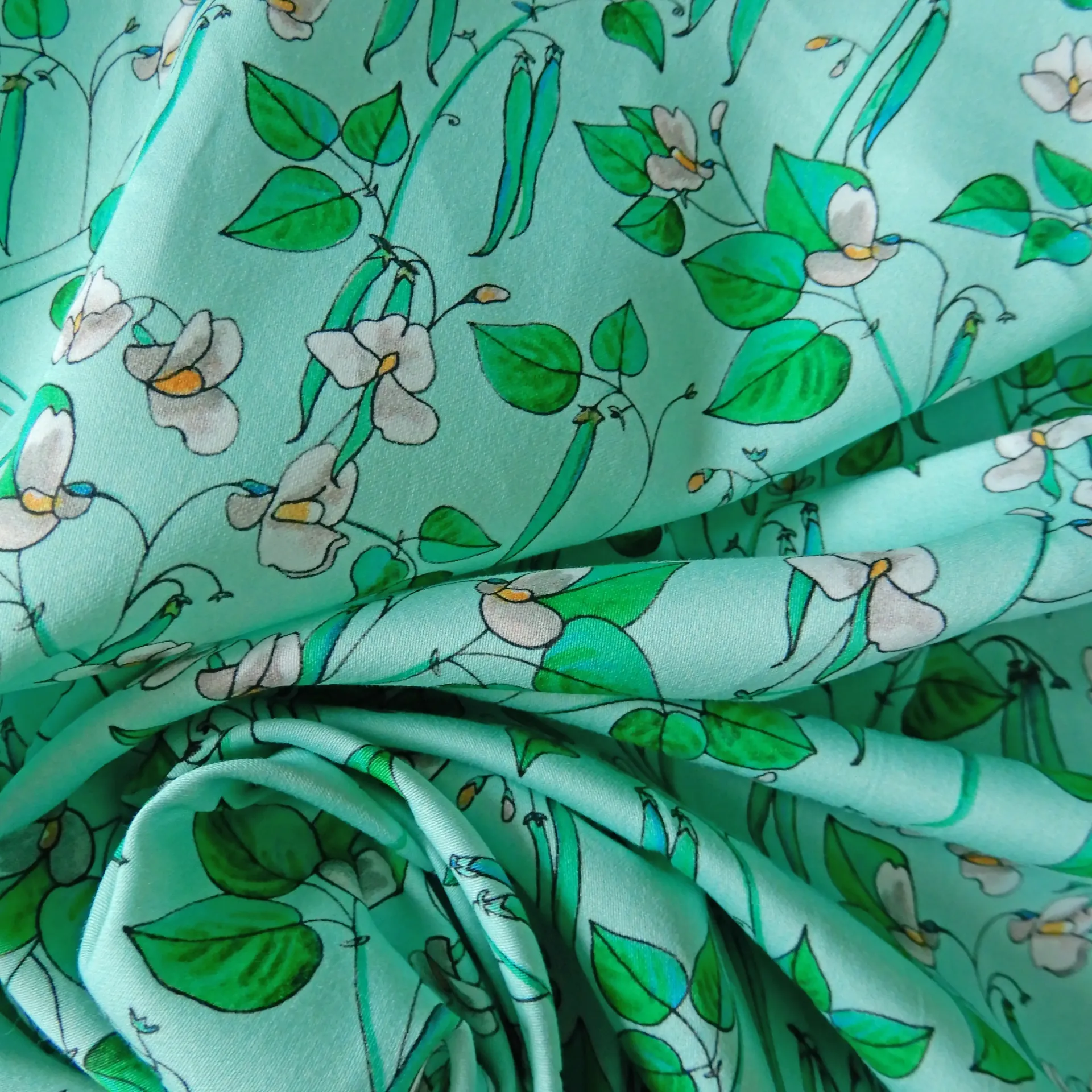 Popeline de coton Haricots