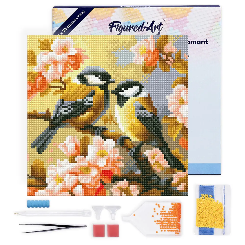 Kit Diamond painting Mésanges