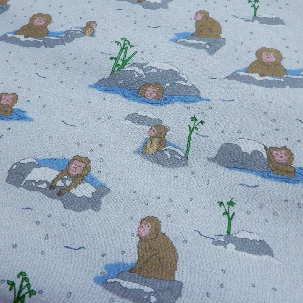 Singes et onsen